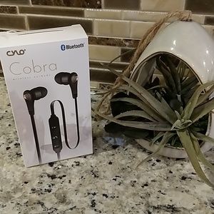 Cylo Cobr wireless earbuds in black with gold trim